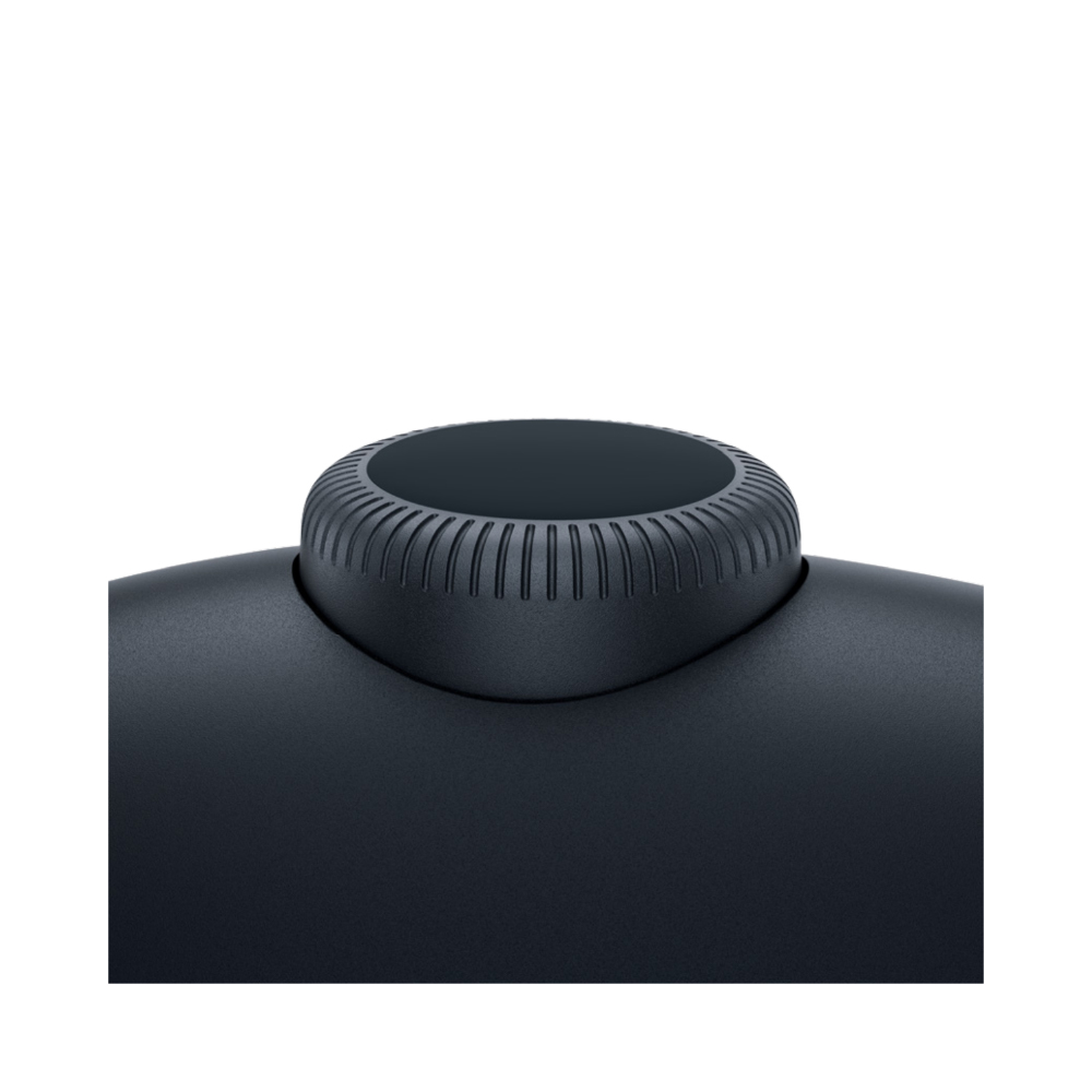 AIRPODS MAX USB C